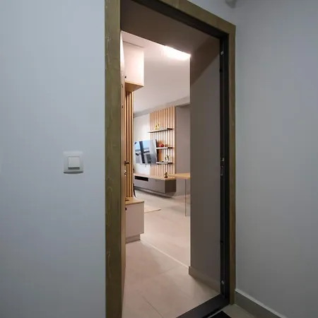 Hils Pallady * Bucureşti