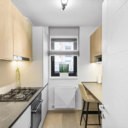 Hils Pallady * Bucureşti