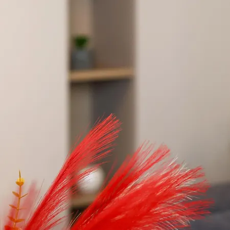 Hils Apartment *