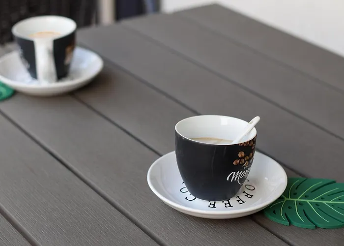 Hils Pallady * Bucarest