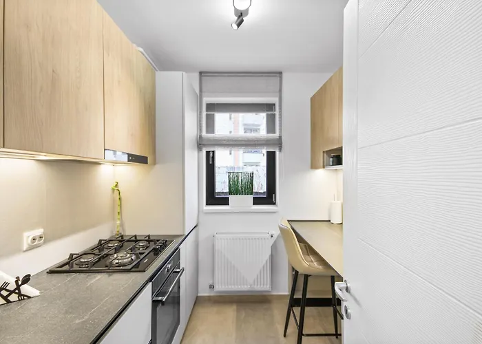 Hils Pallady * 부쿠레슈티