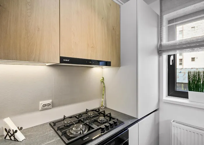 Hils Pallady Bucarest