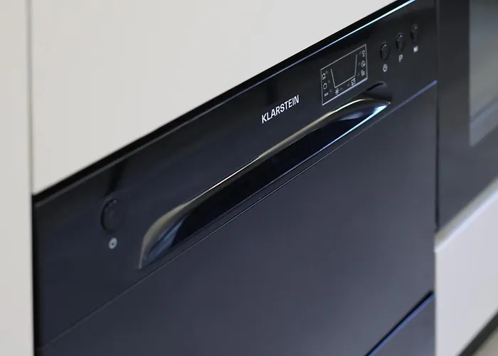 Hils Pallady 부쿠레슈티