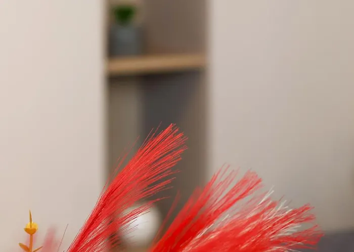 Hils Pallady 아파트 *