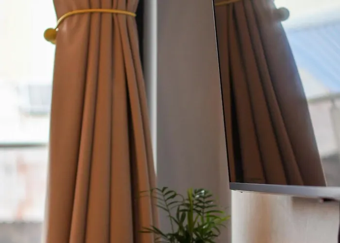 Hils Pallady 부쿠레슈티