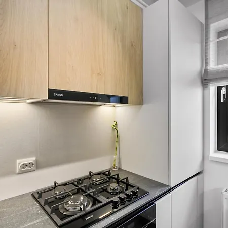 Hils Pallady בוקרשט