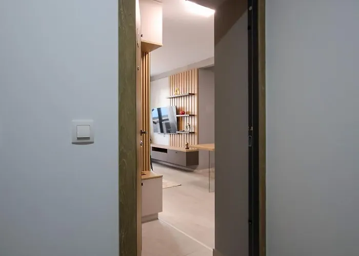 Hils Pallady * Bucureşti